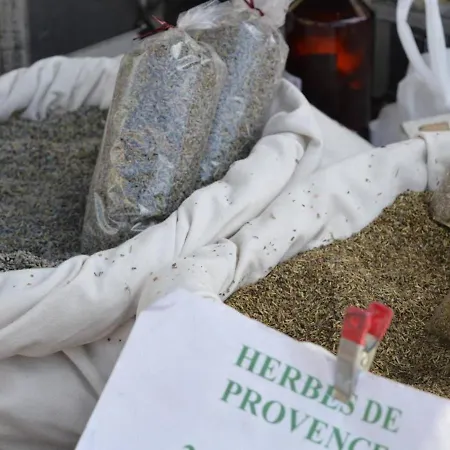 Au Lavandou Avec Terrasse Et Vue - Fr-1-251-237 公寓 勒拉旺杜