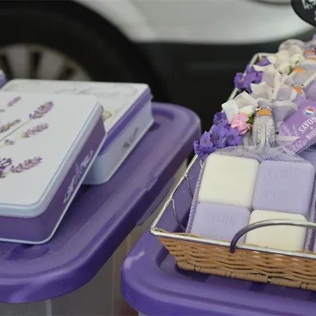Au Lavandou Avec Terrasse Et Vue - Fr-1-251-237 *